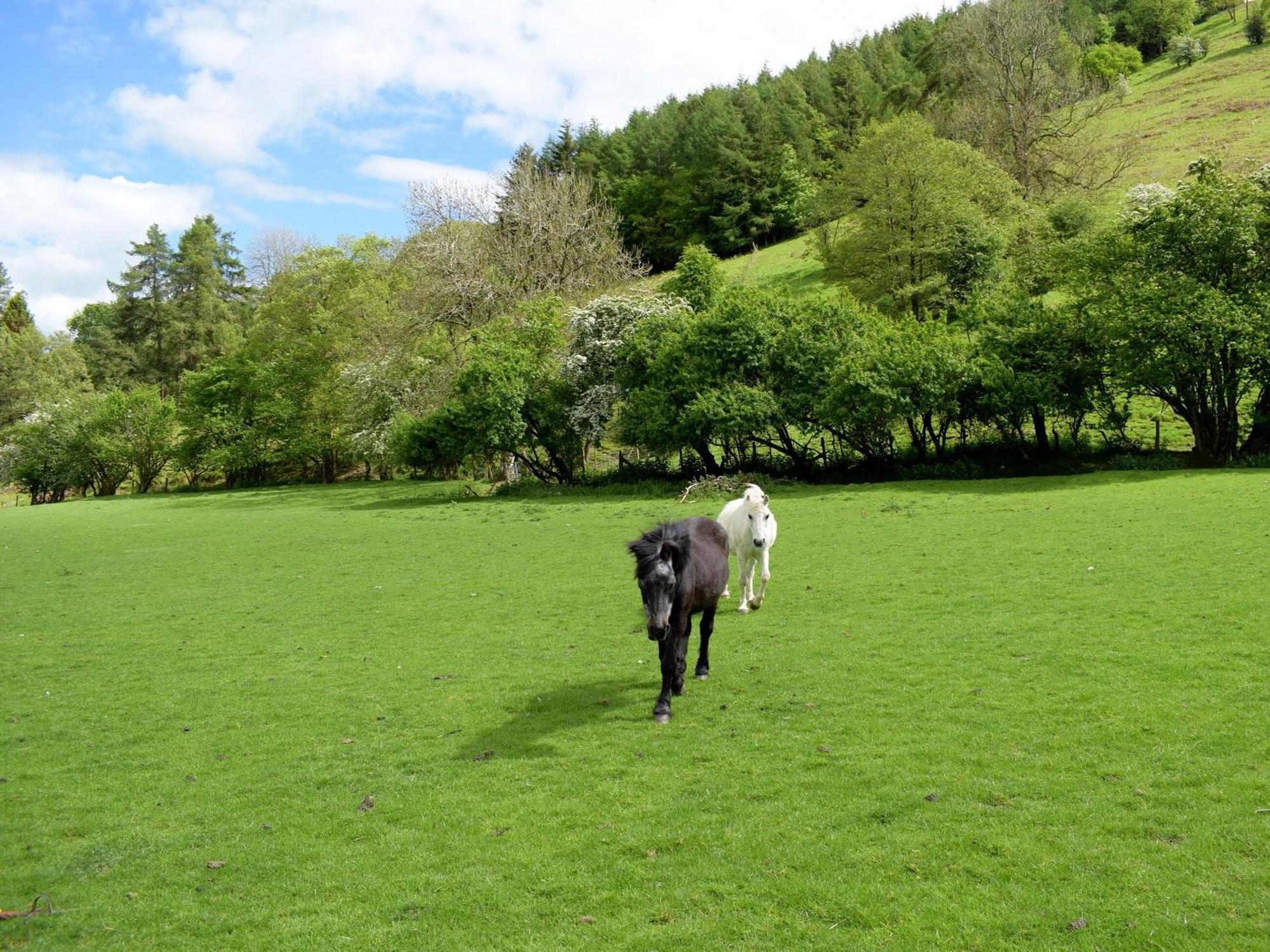 Llanfair Waterdine Lower Goytre Farmhouse מראה חיצוני תמונה